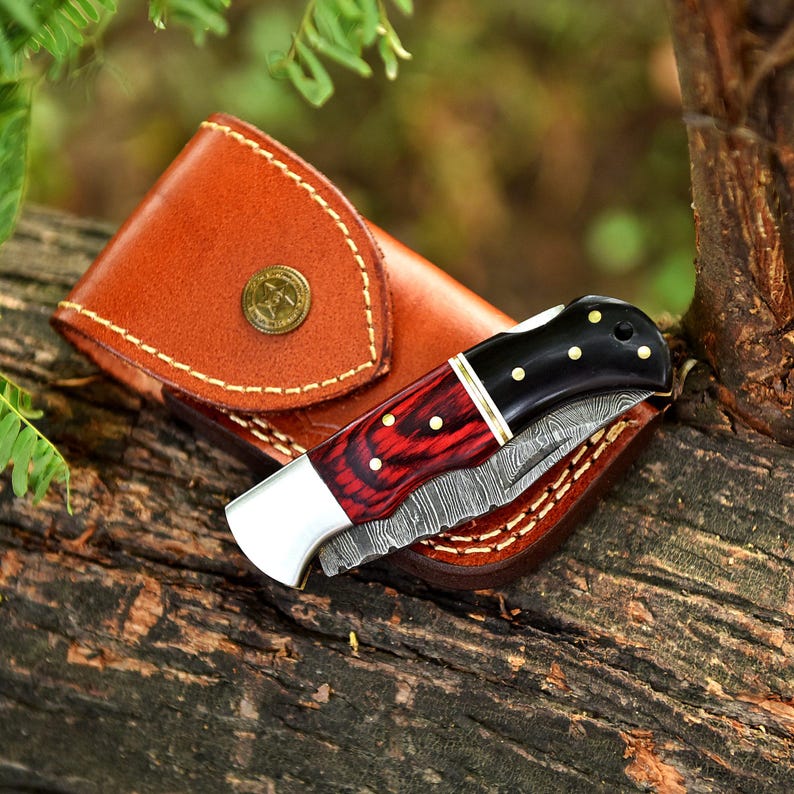 Handmade Damascus Steel Folding Knife: Buffalo Horn & Dollar Sheet Handle