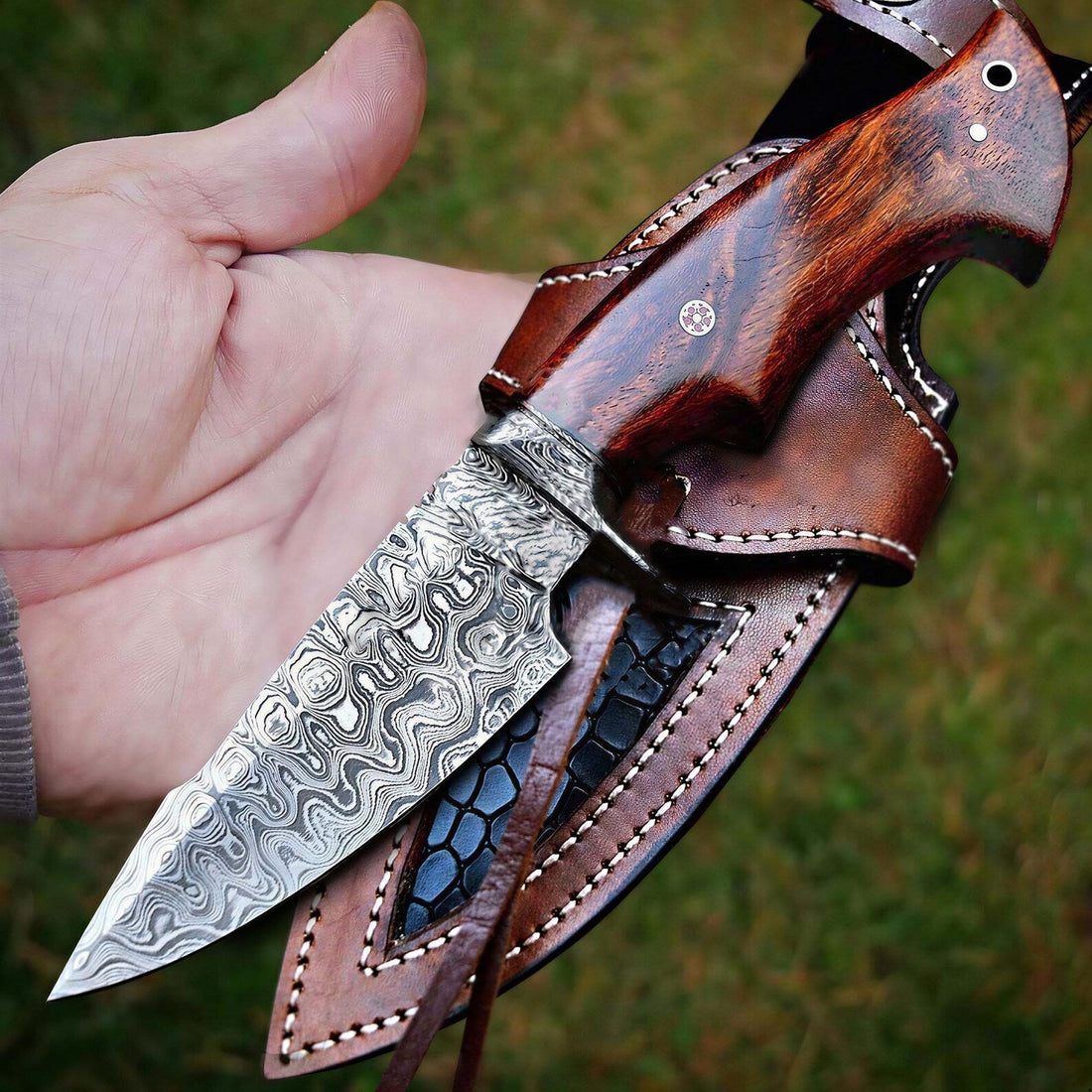Best Camping Knife in 2026: Complete Buying Guide for Outdoor Adventures