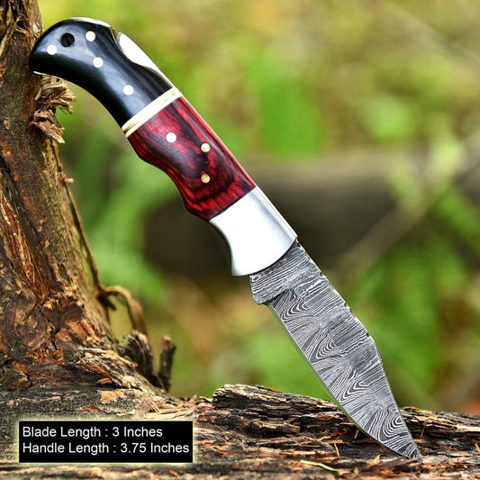 Handmade Damascus Steel Folding Knife: Buffalo Horn & Dollar Sheet Handle