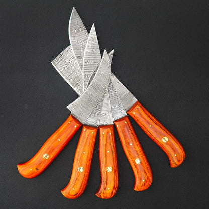 Damascus Steel 5-Piece Chef Knife Set | Handmade BBQ Kitchen Knife Collection