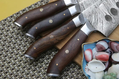 4 Piece Handmade Chef Knife Set, 4 Piece Damascus Steel Knife Set, Kitchen Knife Set with Leather Cover
