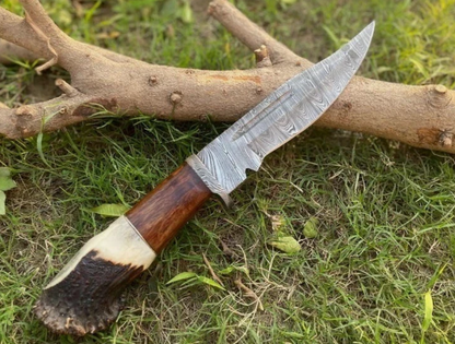 Damascus hunting knife deer antler handle